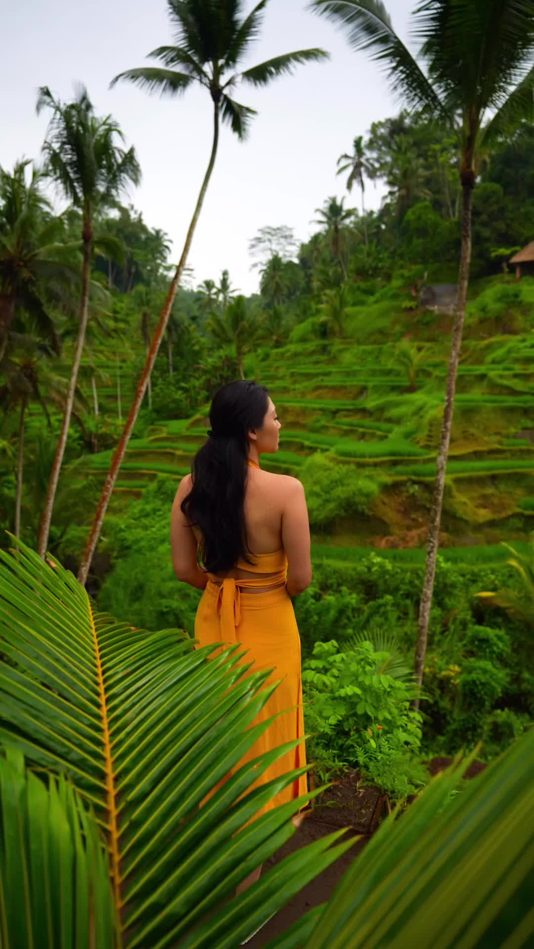 Tegallalang Rice Terrace, Bali: A Tranquil Escape 🌿