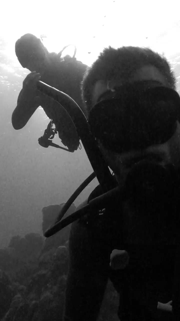 Scuba Diving Adventure in Cozumel, Mexico