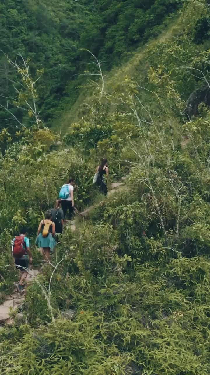 Breathtaking Hike to La Paz Waterfall in Costa Rica