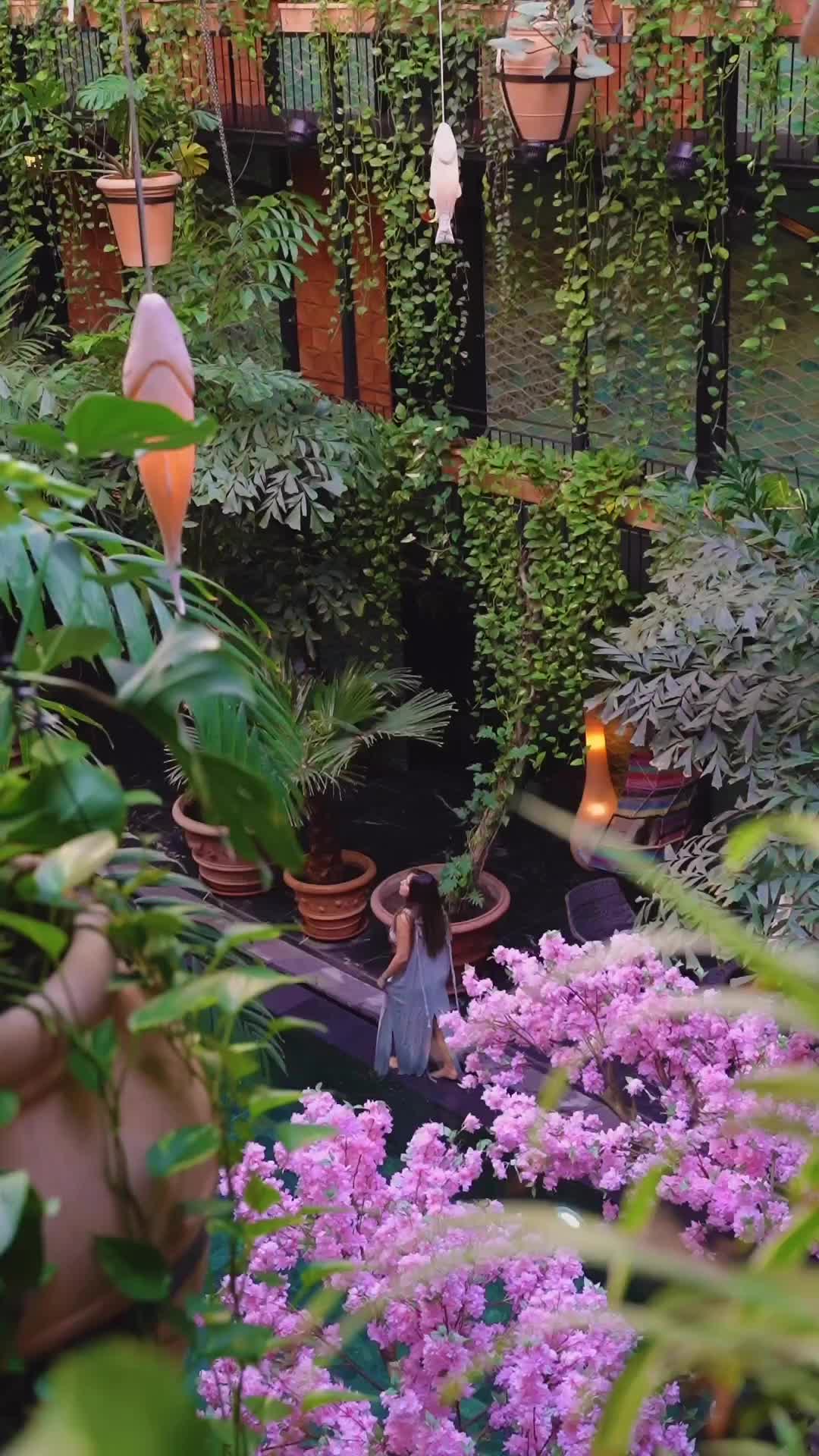 Dream Jungle Pool in the Heart of Copenhagen