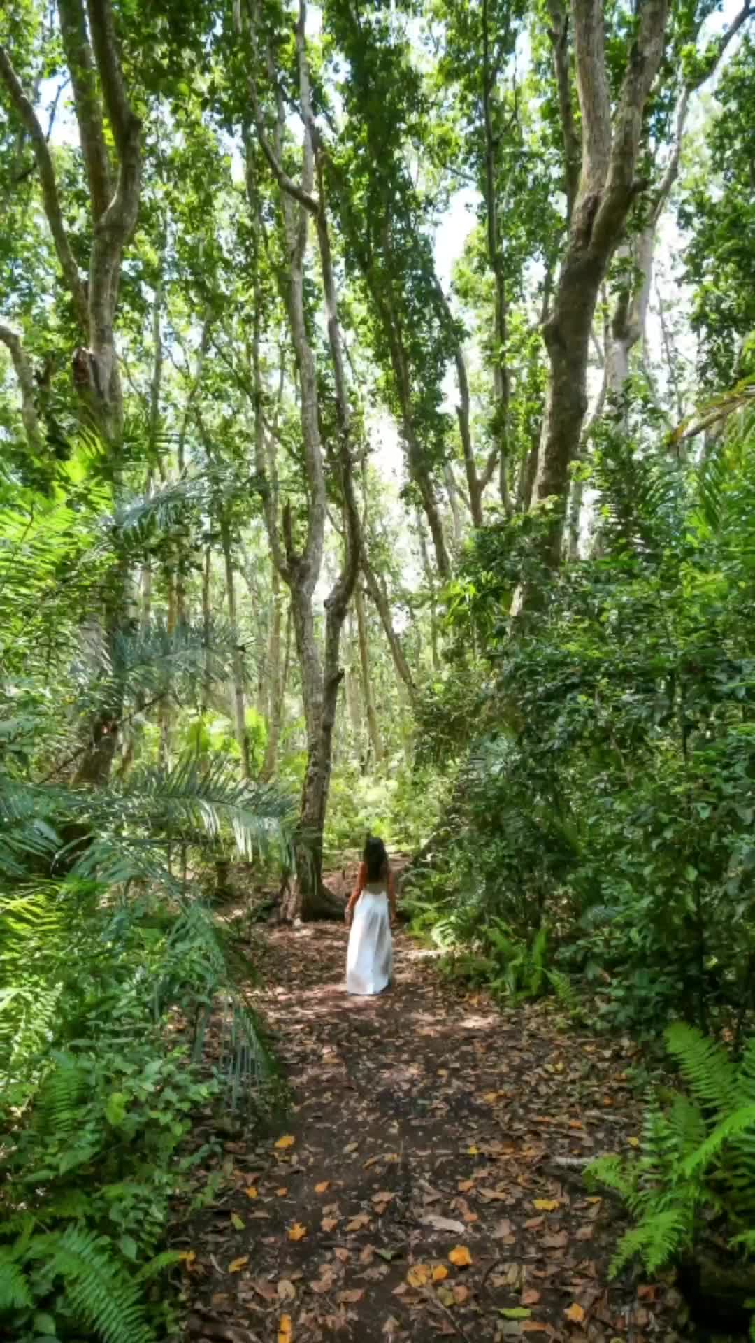 Follow me through the forest in search of the red colobus monkeys 🐒
📍 Jozani Forest, Zanzibar 

*
*

#jozani #jozaniforest #nationalpark #nps #redcolobusmonkey #ecoresponsable #zanzibar #zanzibarforest #rainforest #visitzanzibar #tanzania #africatravel #sheisnotlost #travelinspiration #travelbloguer #travelbucketlist #beautifuldestinations #iamatraveler #wondersoftheworld #ourplanet