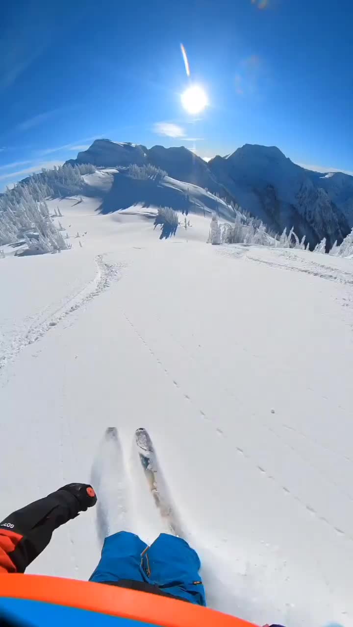 Friends Enjoying Heli Powder Day in Kaslo, BC