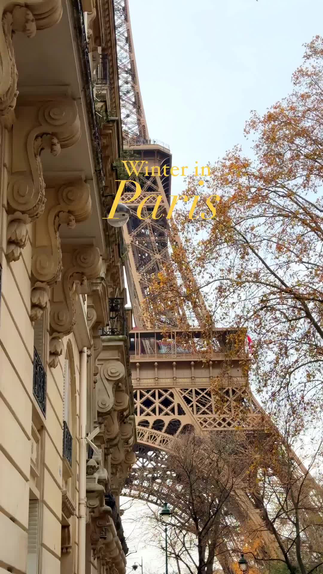 Discover Winter Magic in Paris: 2024 Travel Guide