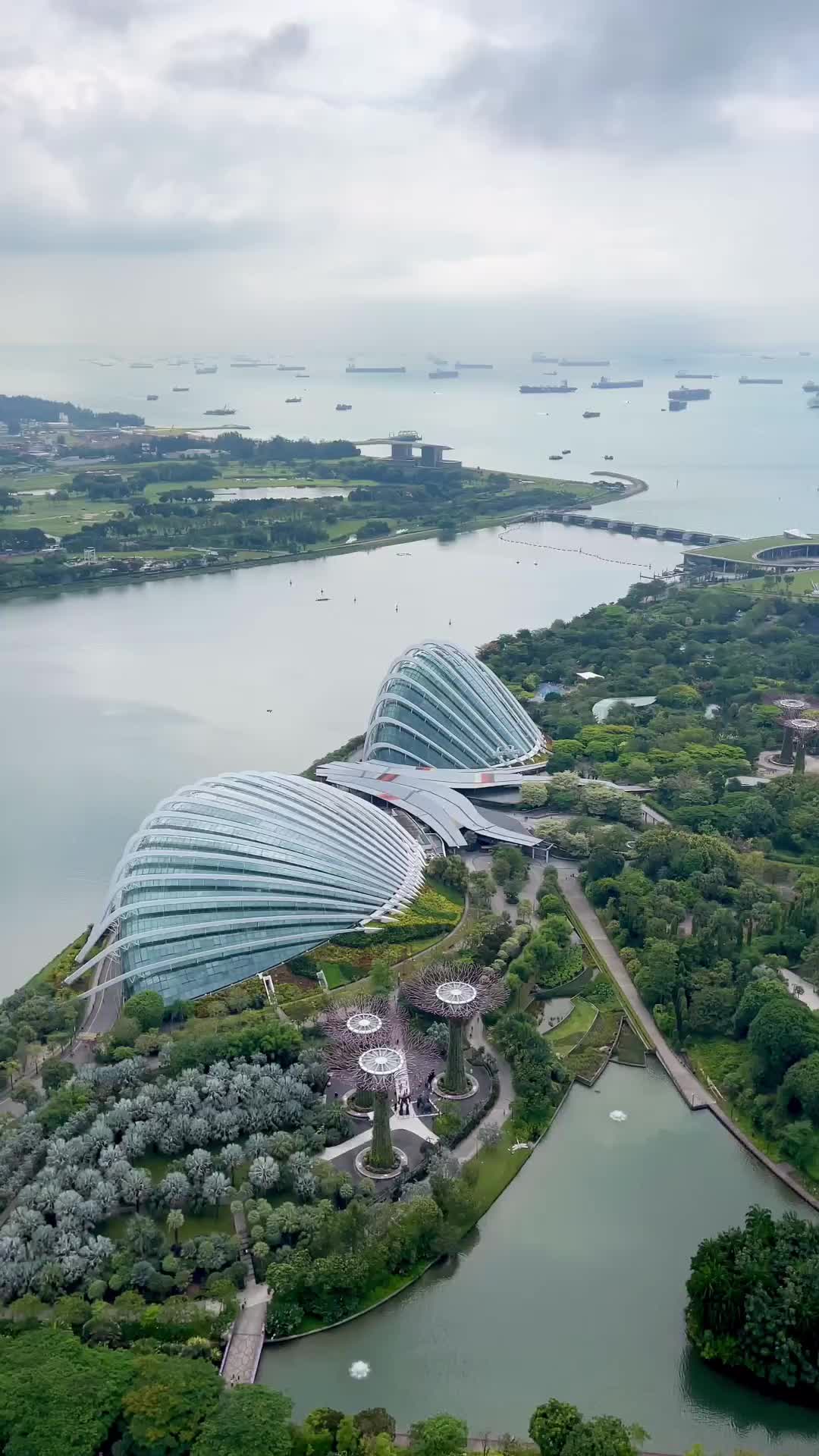 Iconic Gardens by the Bay View from Marina Bay Sands