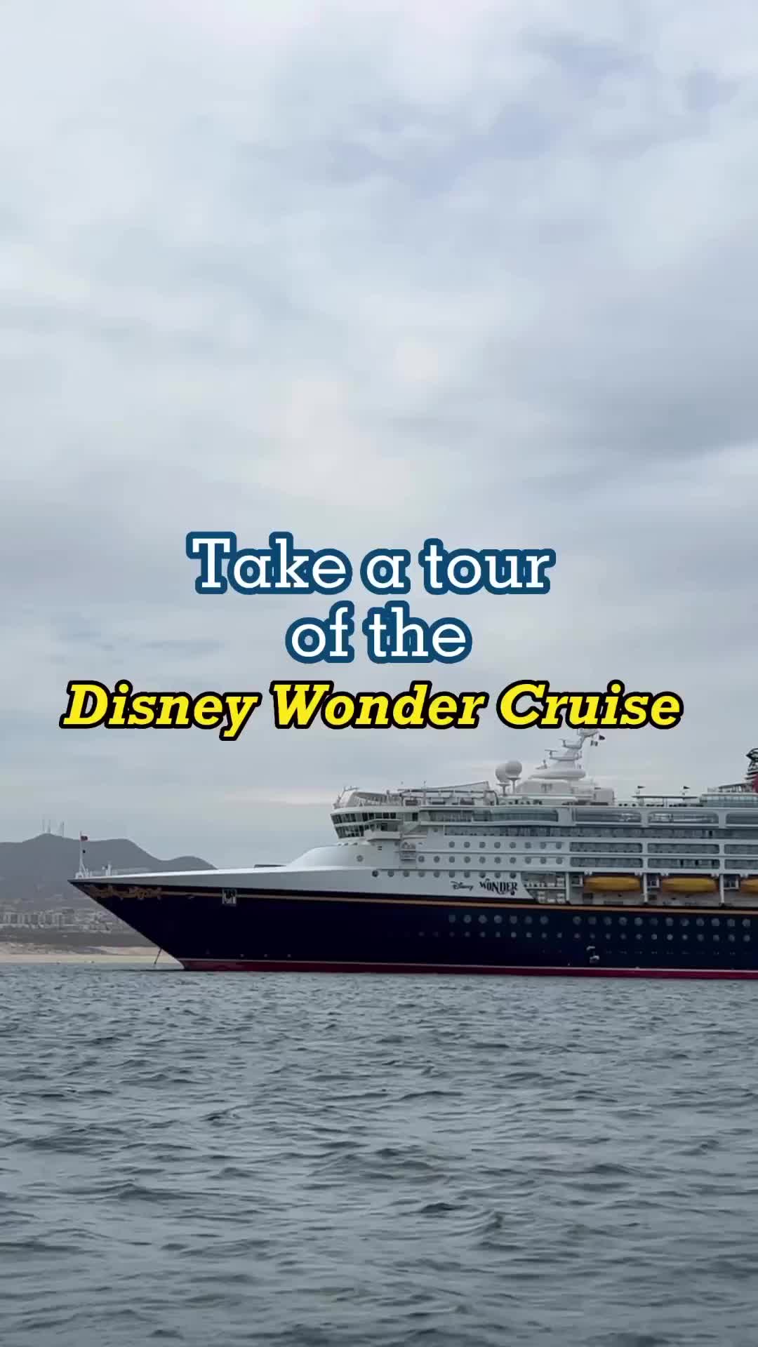 Discover Joy on the Disney Wonder Cruise
