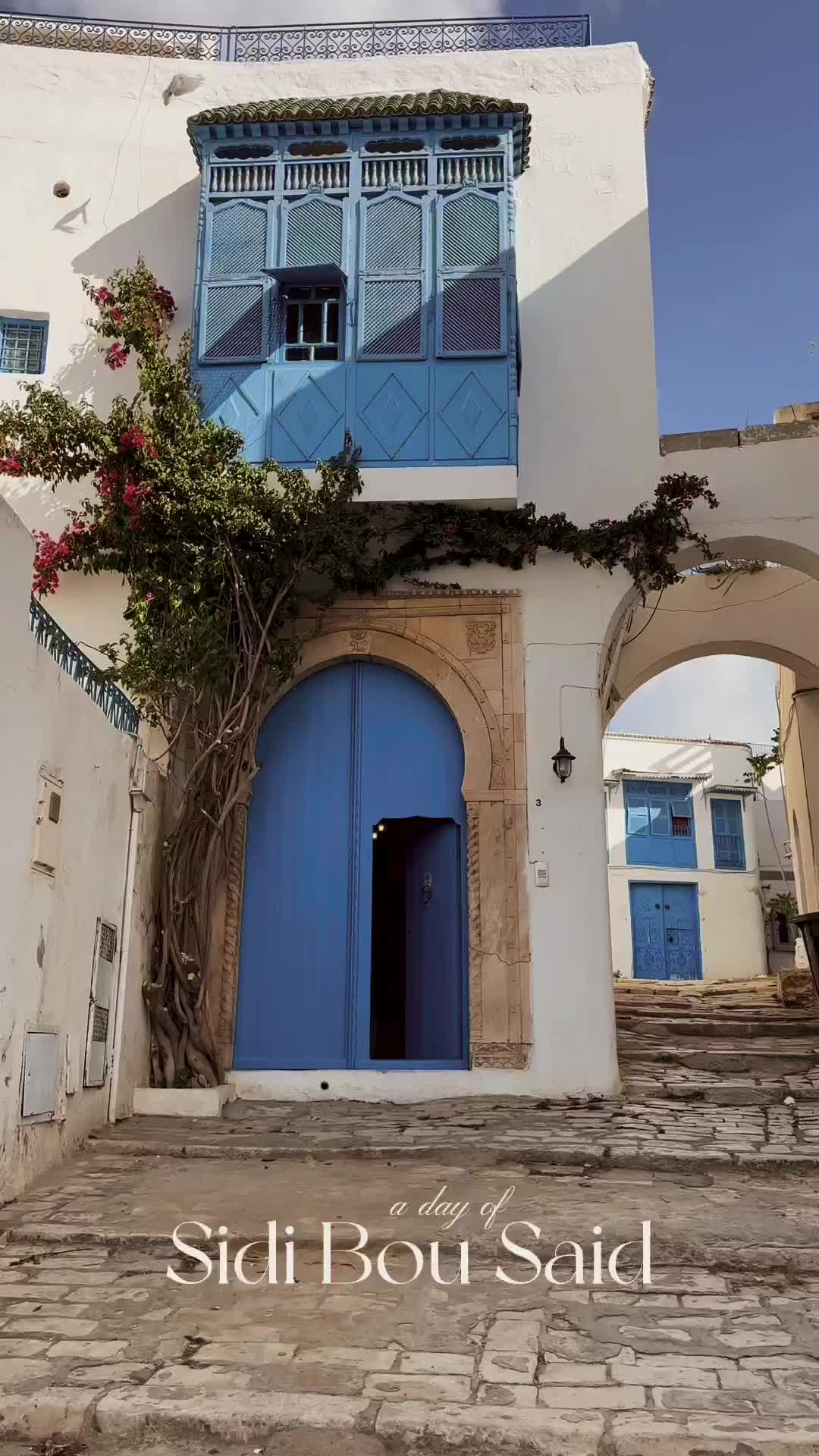 Explore the Beauty of Sidi Bou Said, Tunisia