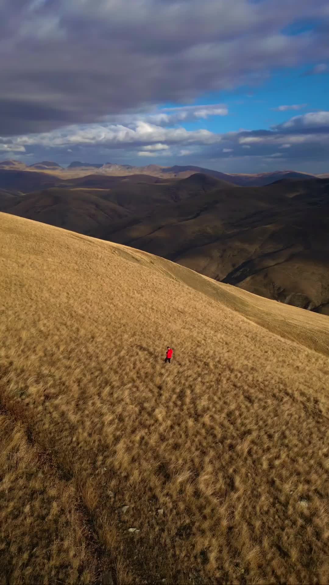 Gold Meadows of Kukës, Albania - A Scenic Escape