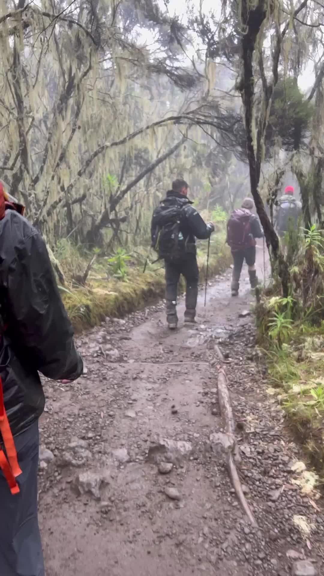 Last Day Hiking Mt Kilimanjaro – Epic Adventure