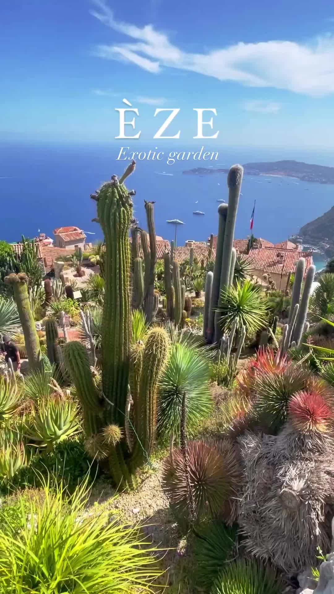 Moments in the Exotic Garden in Èze, France