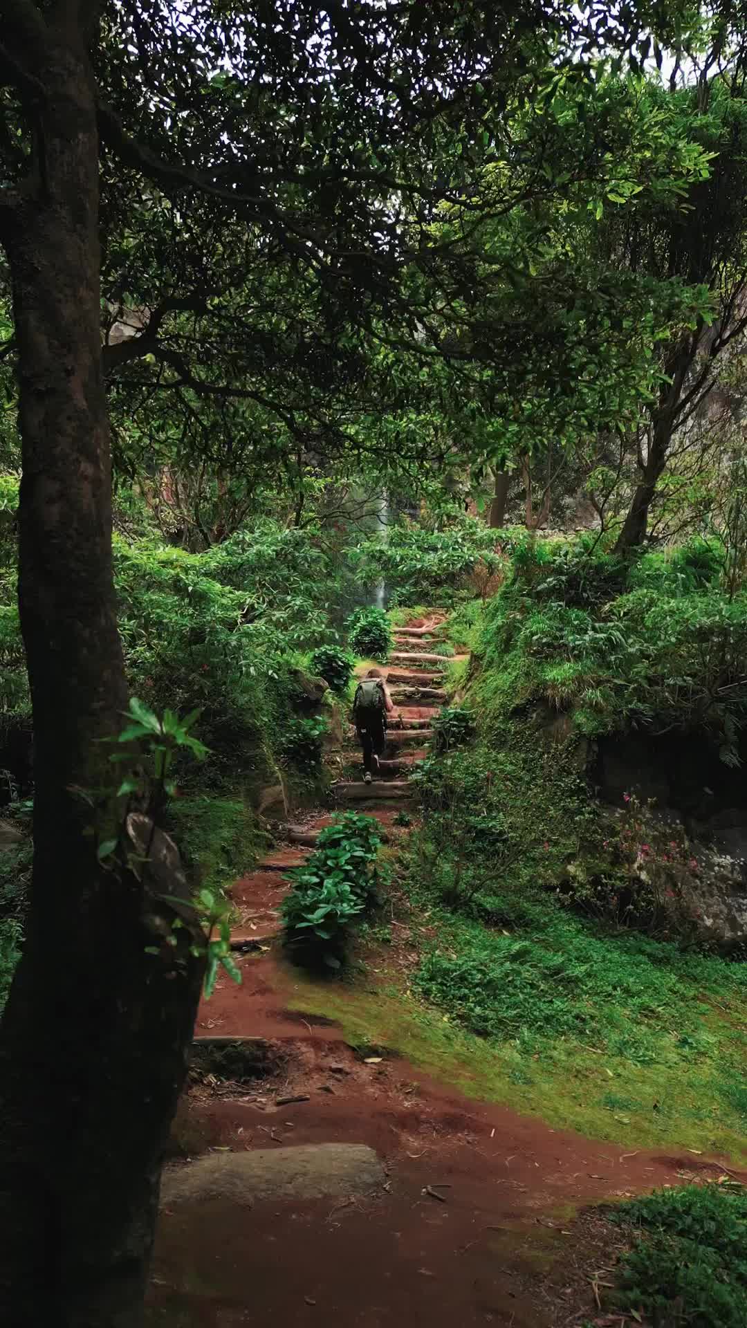 Stairs to Heaven: Explore Nature in Azores, Portugal