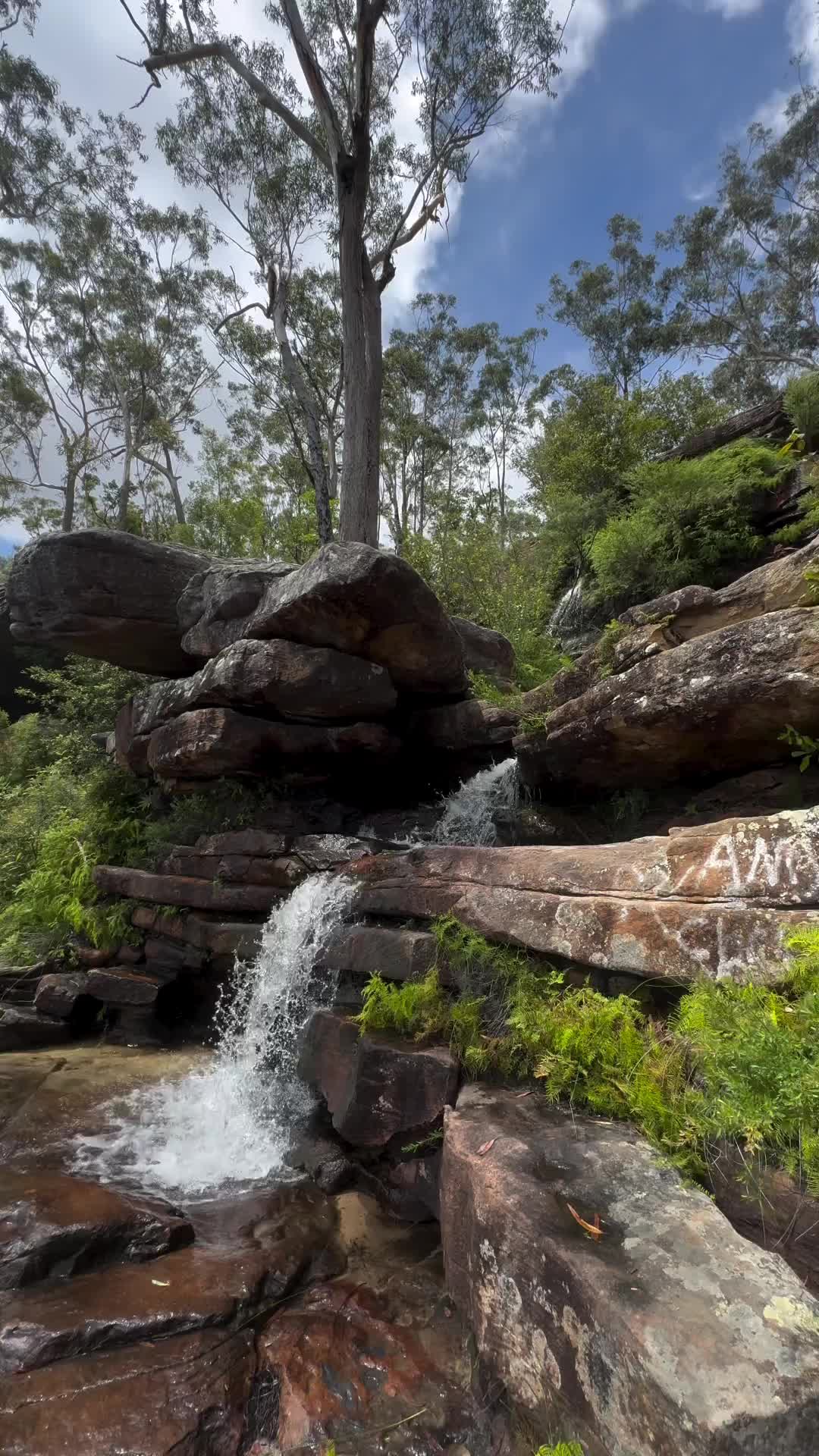 Discover the Hidden Waterfall Gem in Coffs Harbour