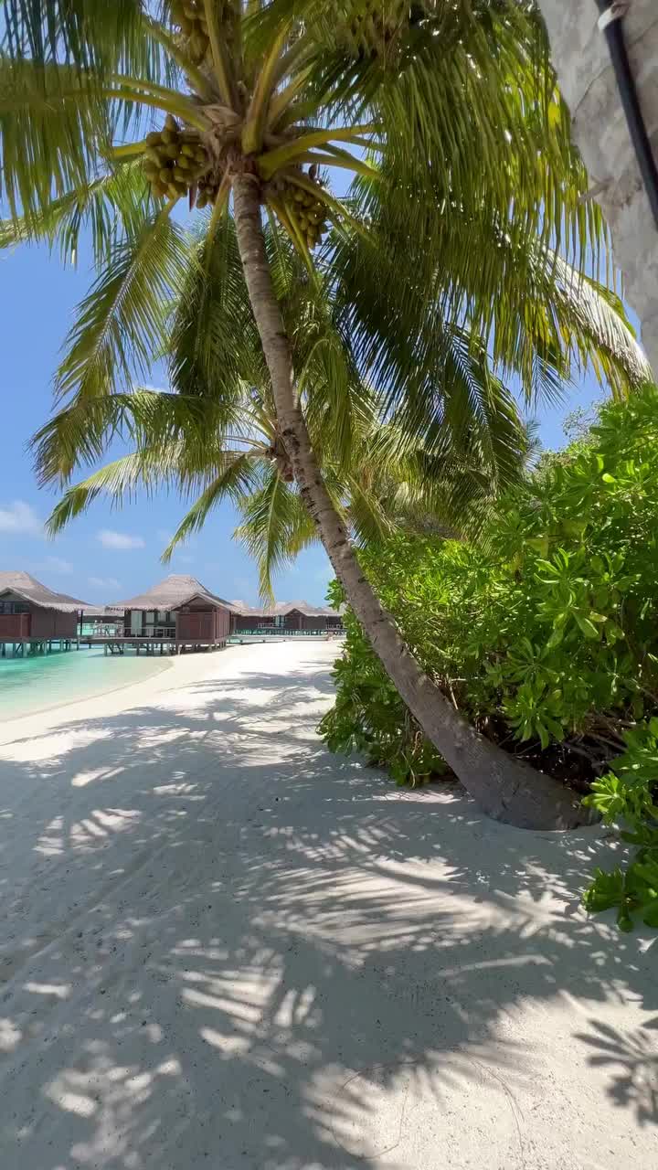 Stunning Maldives Getaway at Anantara Veli Resort