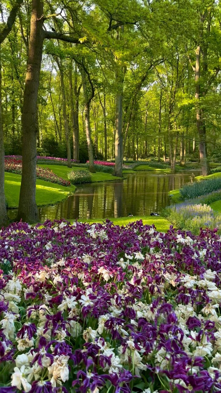 Lisse, Netherlands