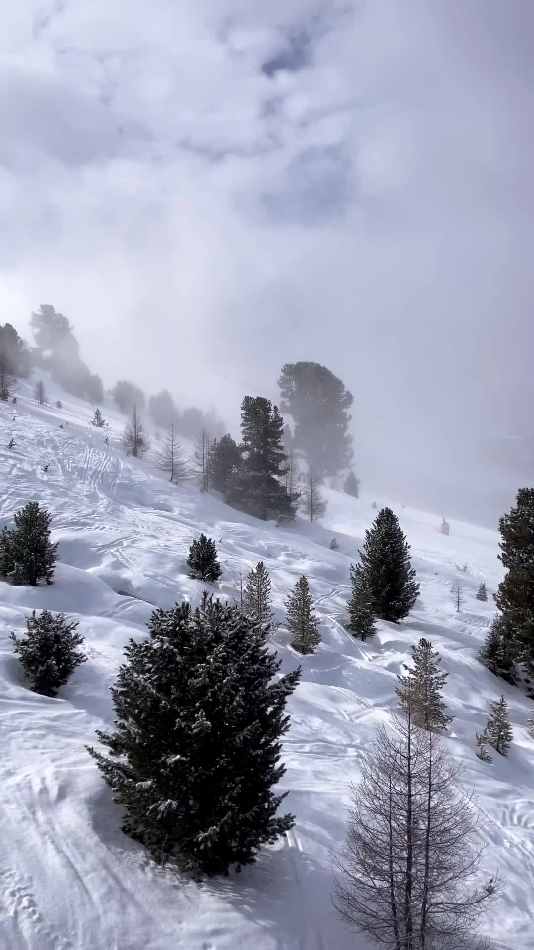 Fresh snow this morning @naudersamreschenpass creating winter wonderland ☀️⛷️