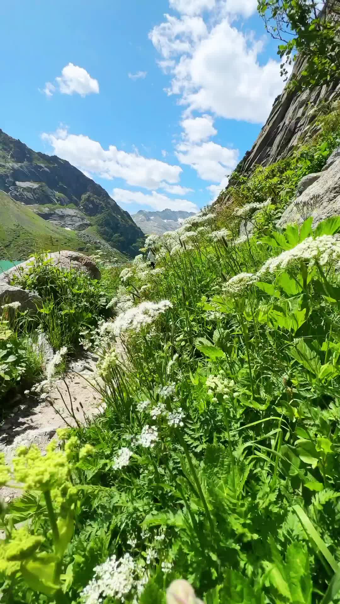 Picture Perfect Hike Around Lake Gelmer in Switzerland