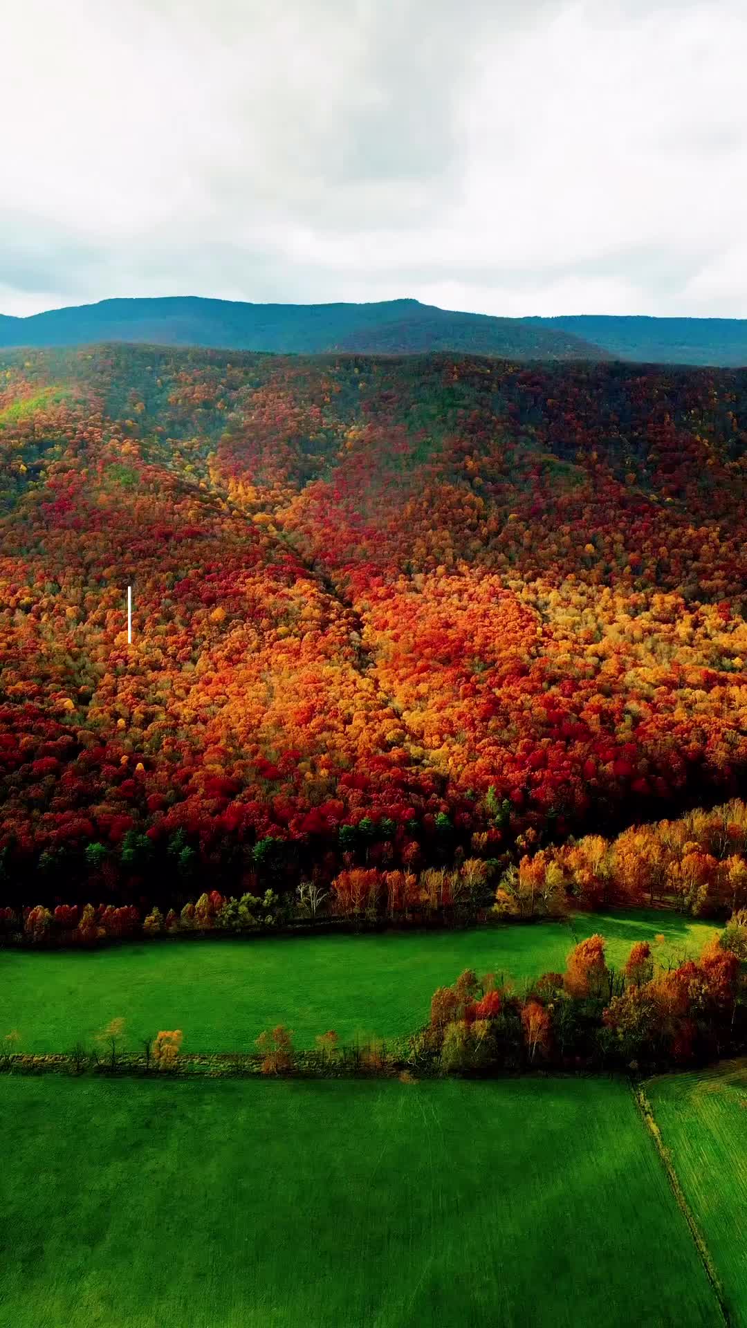 Stunning Fall Foliage at Seneca Rocks, WV