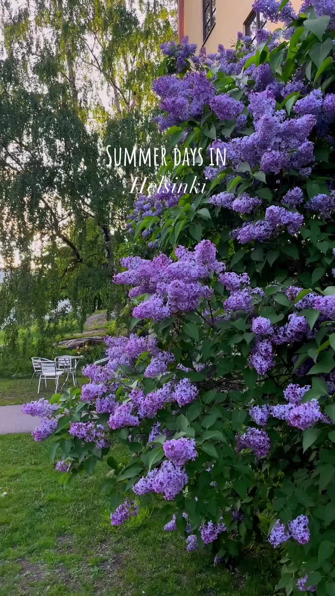 Enjoy the Last Sunny Days of Helsinki Summer 🌞