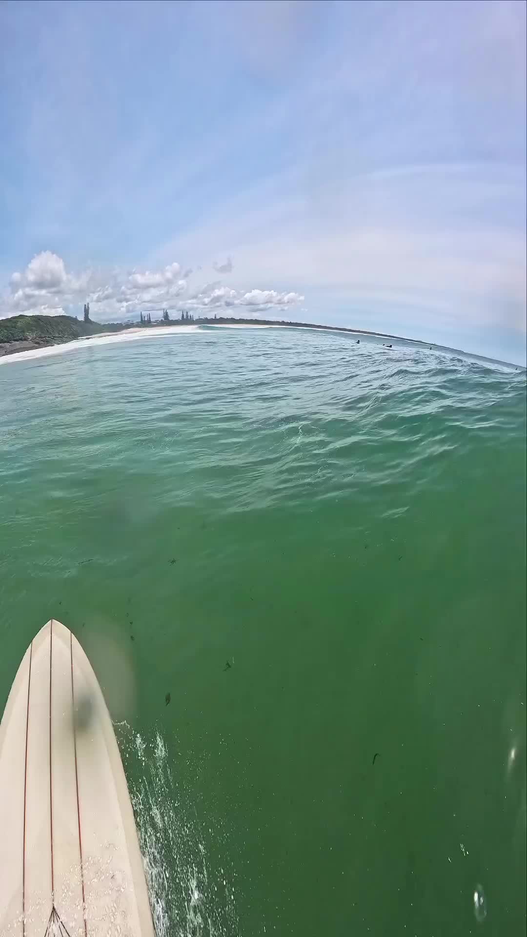 Surfing Cabarita Beach: HomeBreak Bliss in Australia