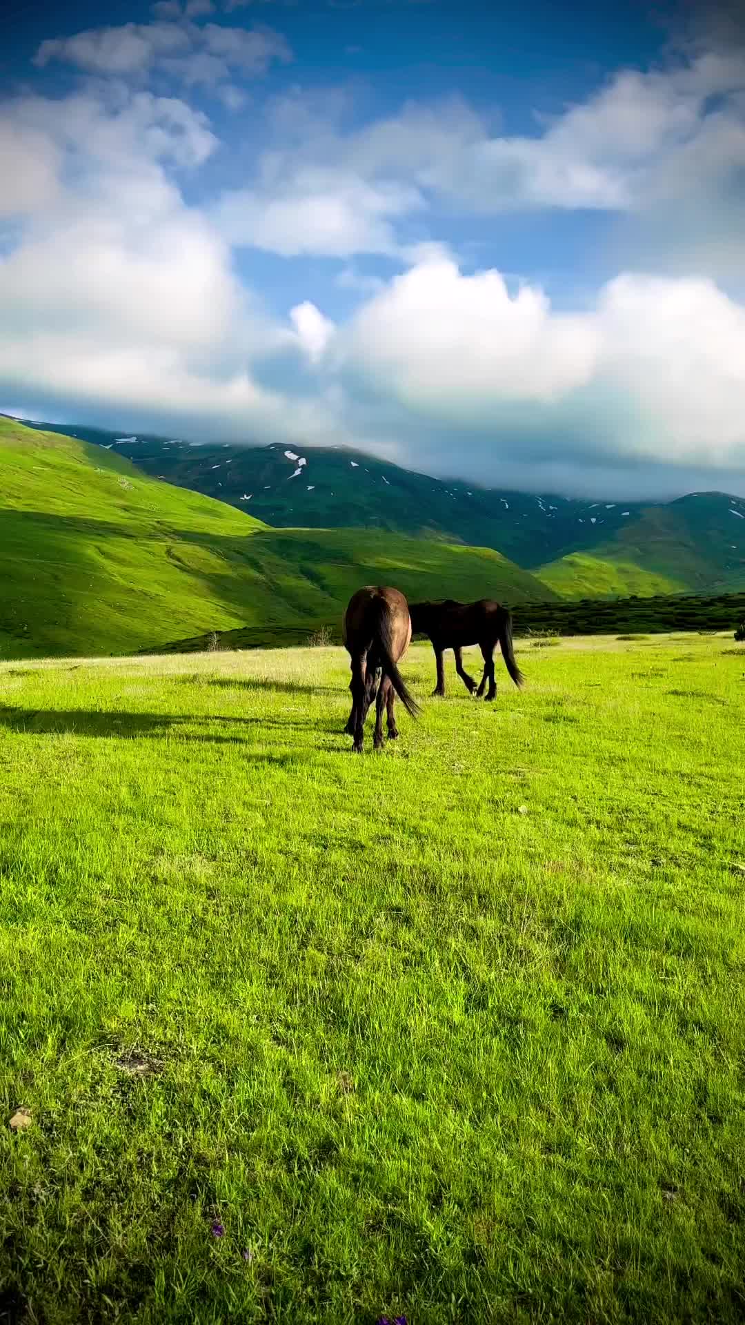 Exploring the Meadows of Kukës, Albania