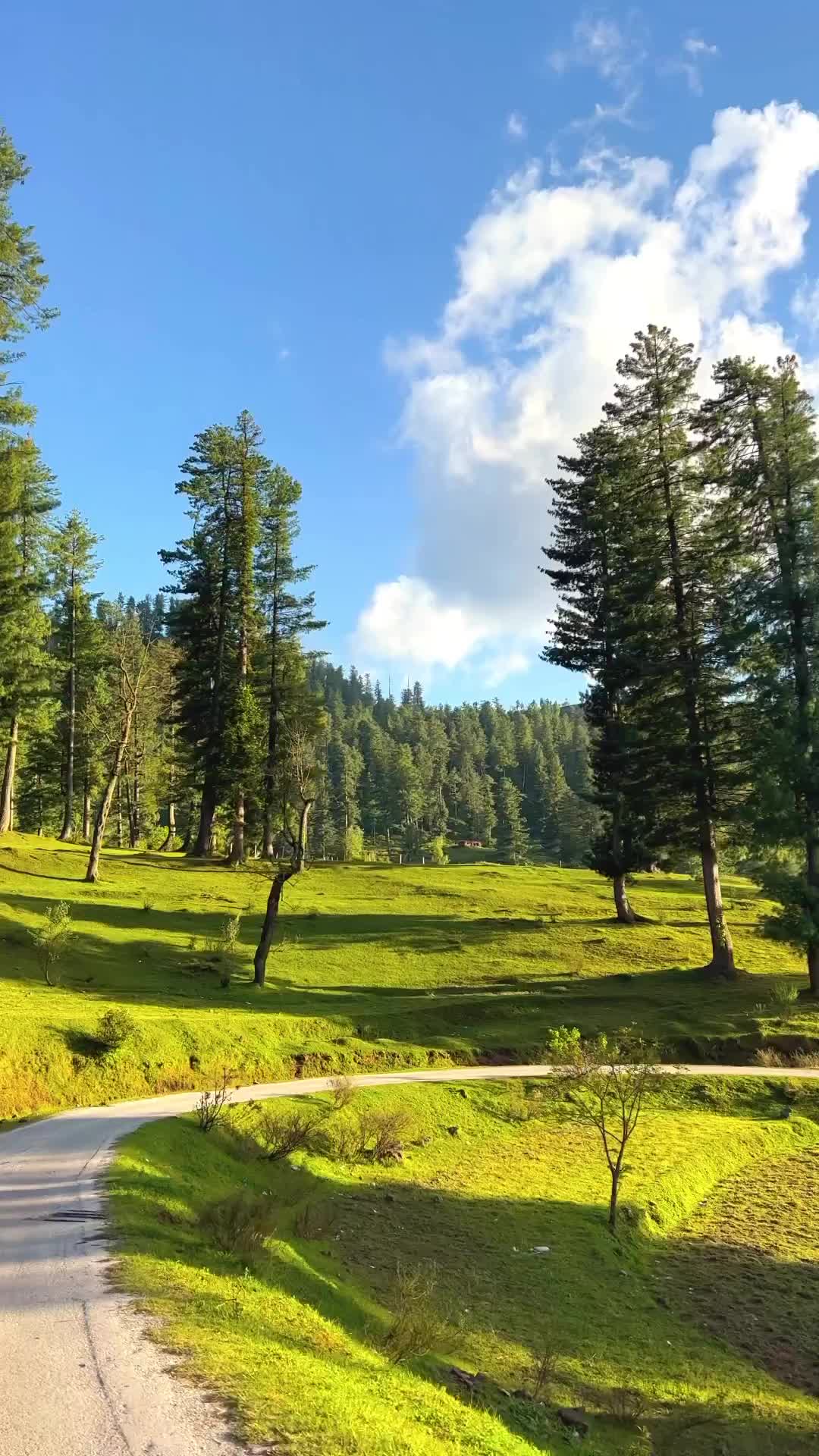 Dreamy Road Trip in Gool, Ramban, J&K