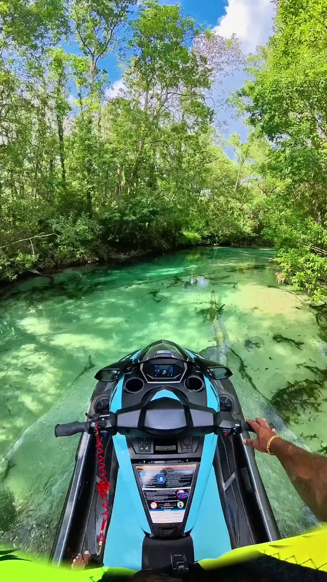 Exploring Weeki Wachee River Adventures 🌿💚