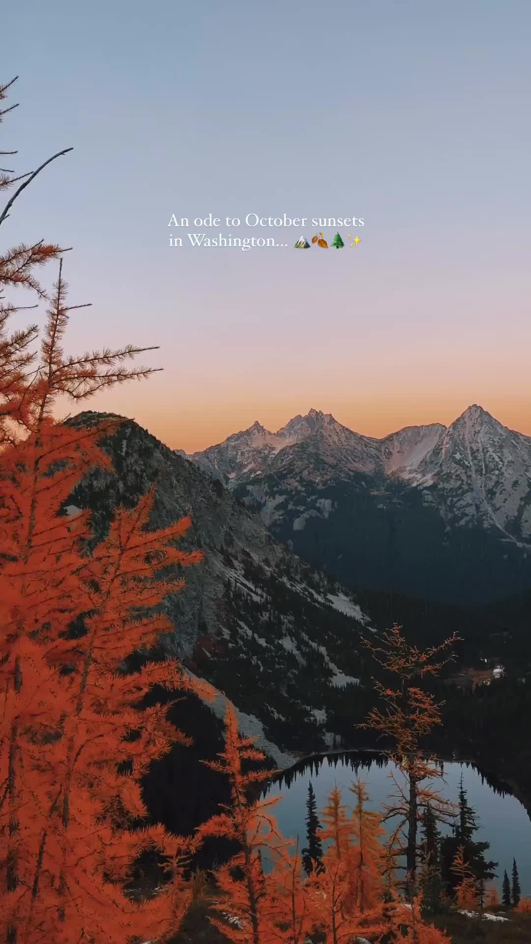 I think it’s safe to say I will always plan a trip to the North Cascades during the first two weeks of October 🍂✨

It was my first time seeing larches and I couldn’t believe my eyes. The larch tree is a deciduous conifer— like an evergreen but loses its needles. In the cooler months, the larches turn golden before losing their needles. And in this part of Washington it’s quite the phenomenon. People from all over flock to these mountains to witness it 🥹 The trees almost don’t look real.

You’ll find larches in parts of Central Europe, the boreal forests further north on the continent, British Columbia and even in parts of New Hampshire and Ohio 💛

Have you seen larches before?

#explorewashington #explorewashstate #pnw #larches #okanogancountry