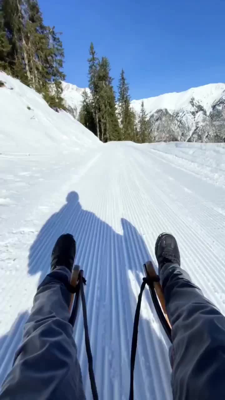 Skiing or Sledding in Stunning South Tyrol?