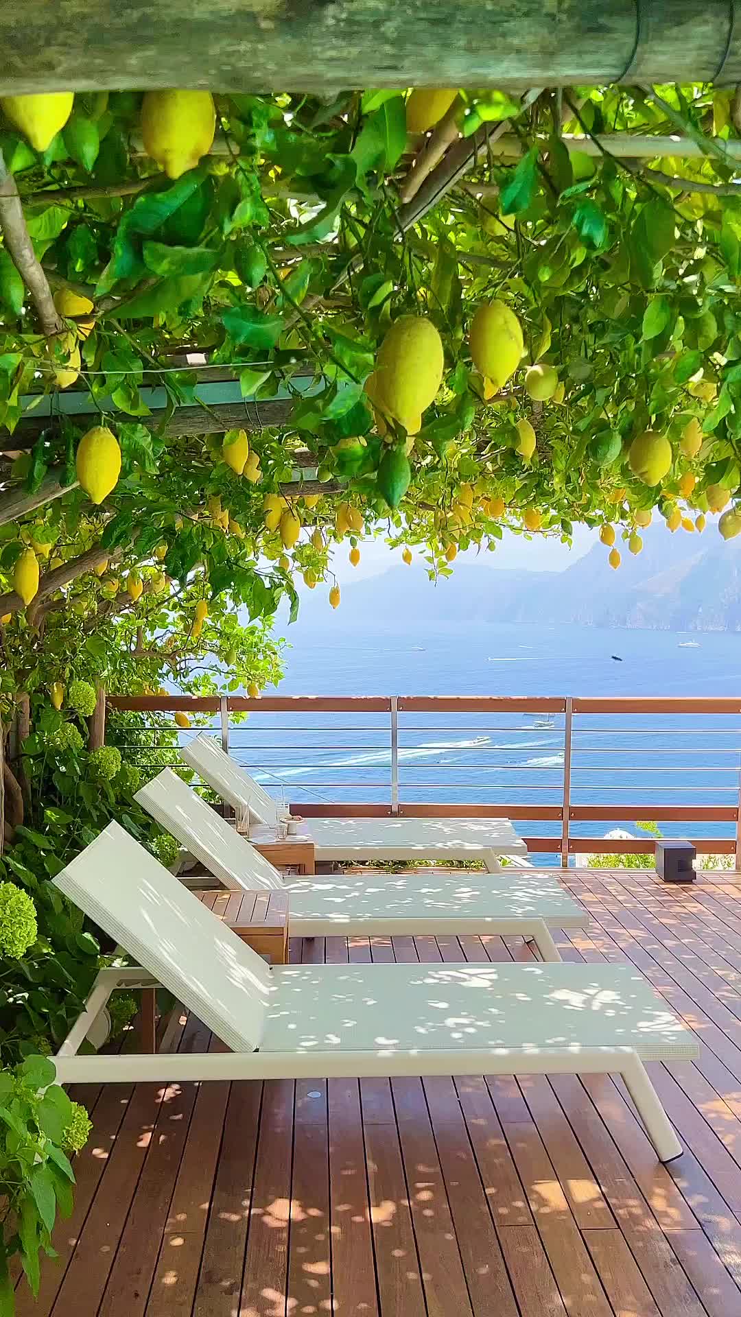 Tranquil Lemon Tree Shade at Casa Angelina, Praiano