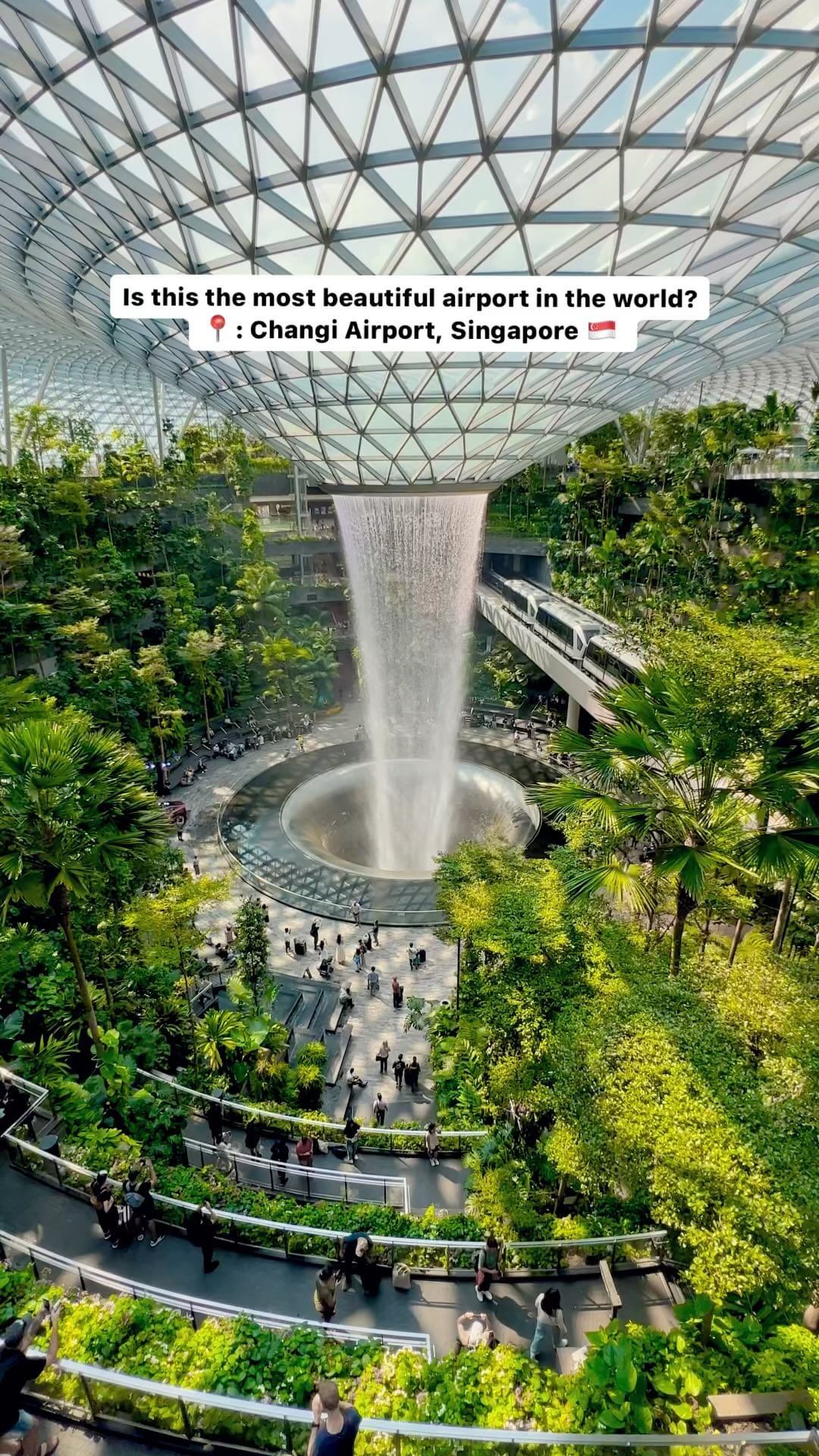 An airport, but make it ✨beautiful✨ @changiairport 

#singapore #changiairport #airport #travel #aviation #architecture #architectureanddesign