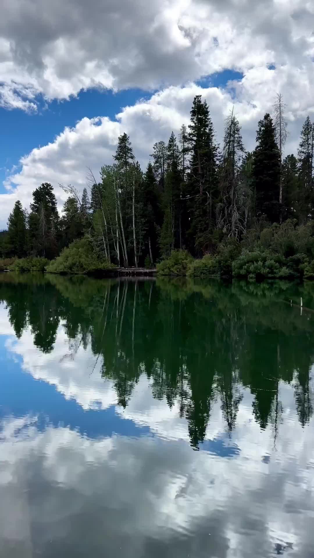 Discover Lassen Volcanic: The Most Underrated National Park