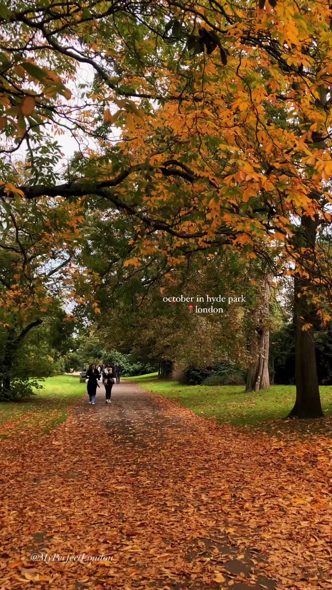 Autumn Stroll in Hyde Park, London