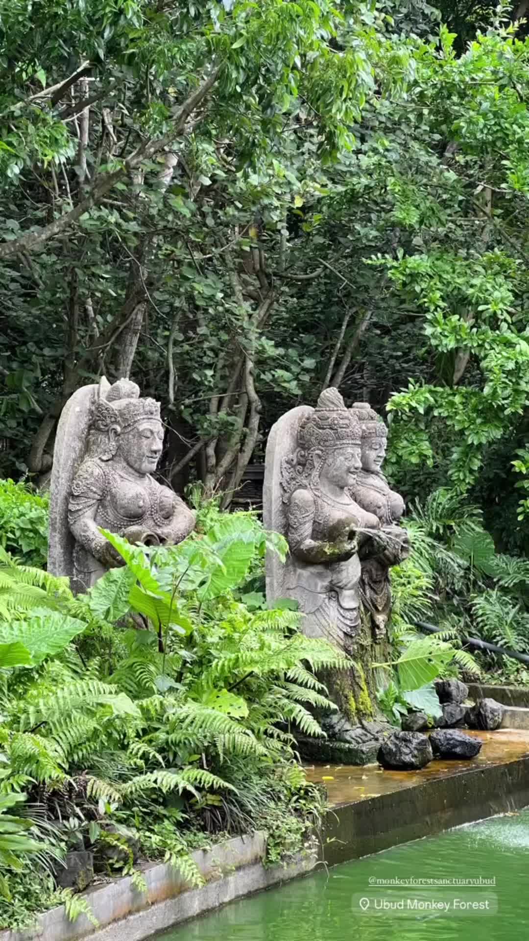Sacred Monkey Forest Sanctuary Adventure in Ubud, Bali