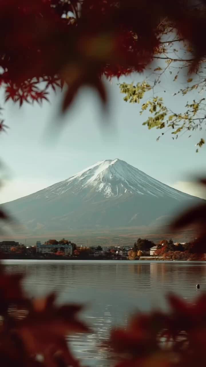 Fall in Japan 🍂

#japan #beautifuldestinations #fall