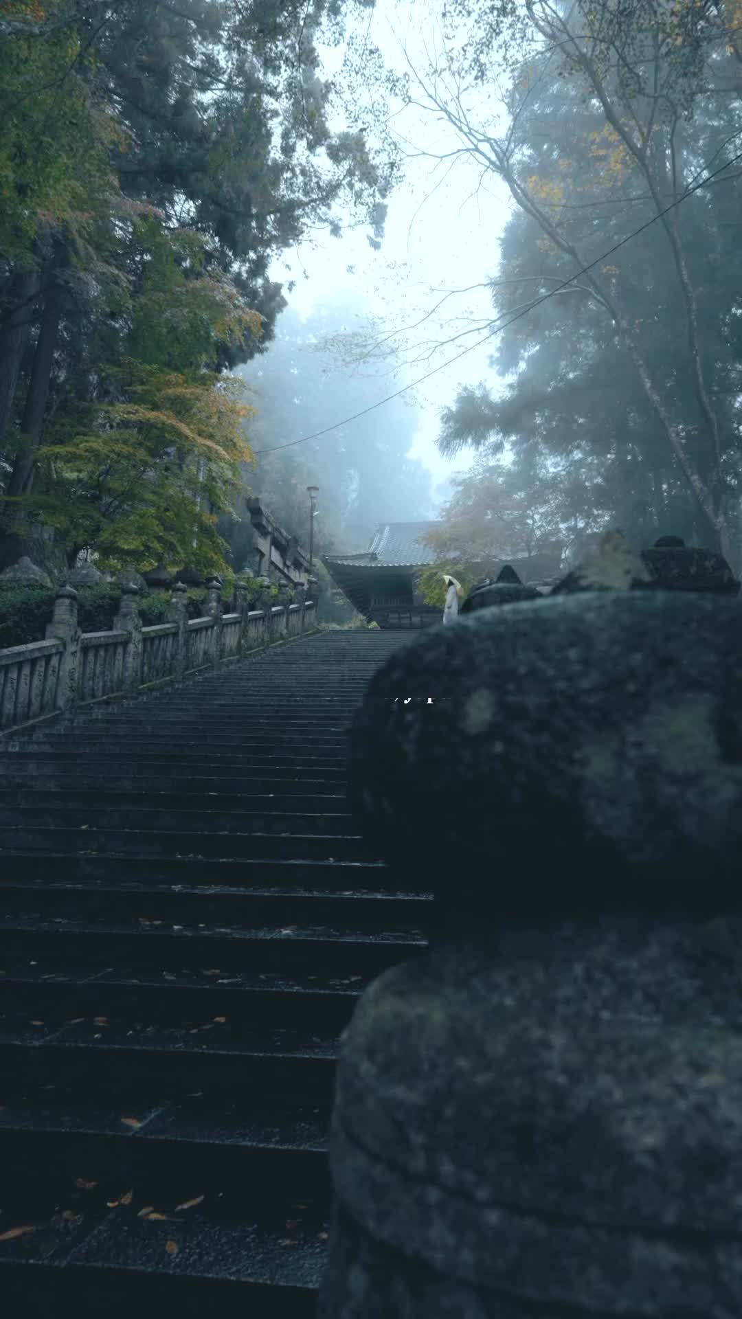 Enchanting Fog at Chopenzo-ji Temple's Autumn Festival
