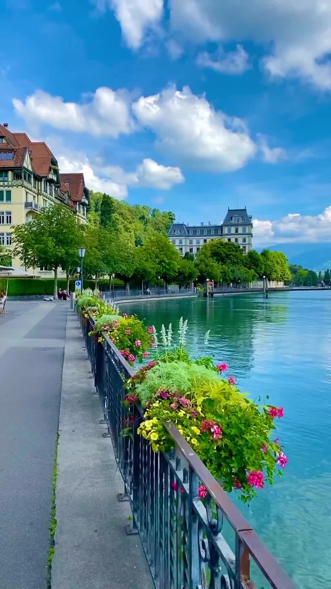 Discover the Beauty of Thun, Switzerland