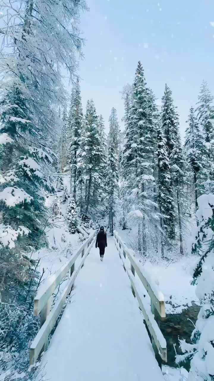 Winter Wonderland at Banff National Park ❄️☃️