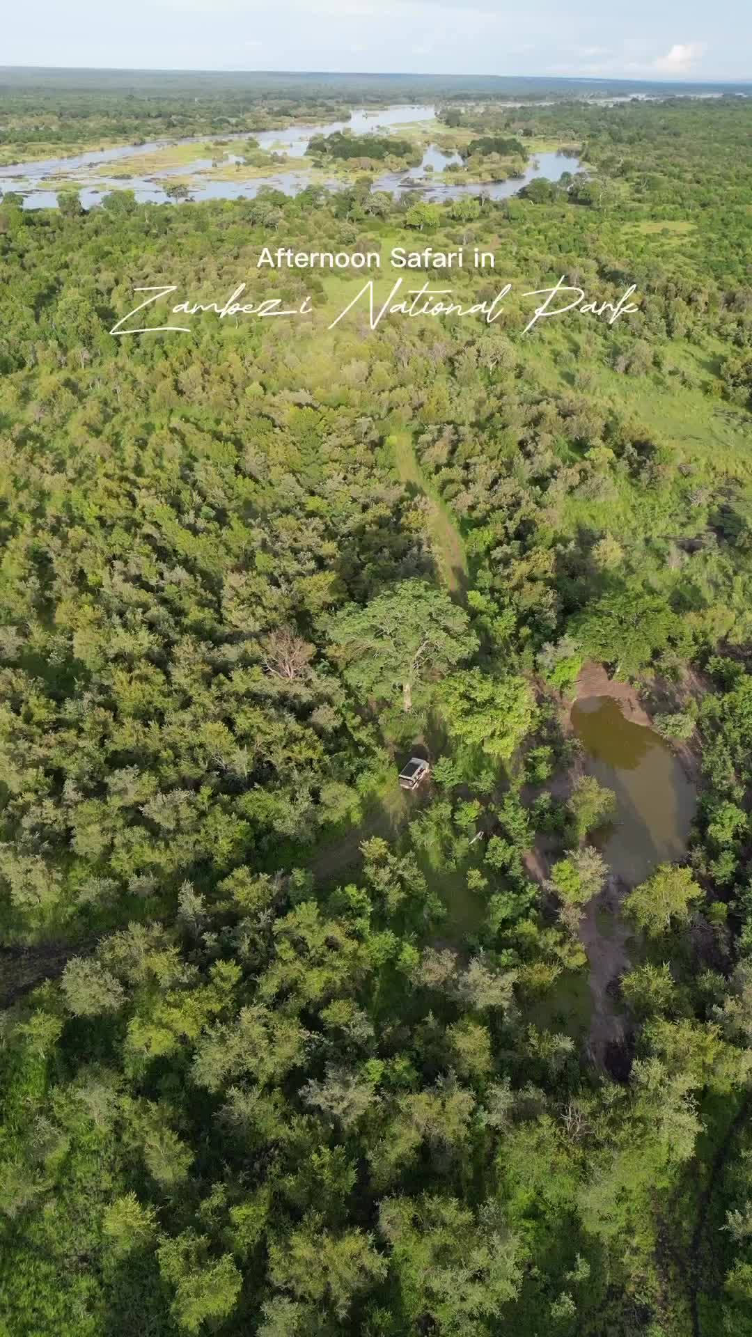 Have you ever seen anything like this? 🌿

📍 @mpalajena_zambezi 

#mpalajena #mpalajenazambezi #mpalajenajourney #mpalajenazambezirivercamp #zimbabwe #outofafrica #zambezinationalpark #thisisafrica #africa #luxurysafari #onsafari #safaristyle #safari #herwanderfullife #luxurytravel #djidrone #djiphotography #destination_wild #beautifuldestinations #bucketlist #natgeotravel #travelafrica #contentcreator #luxurysafari #luxurysafariexperience #safarilodge #luxurysafarilodge