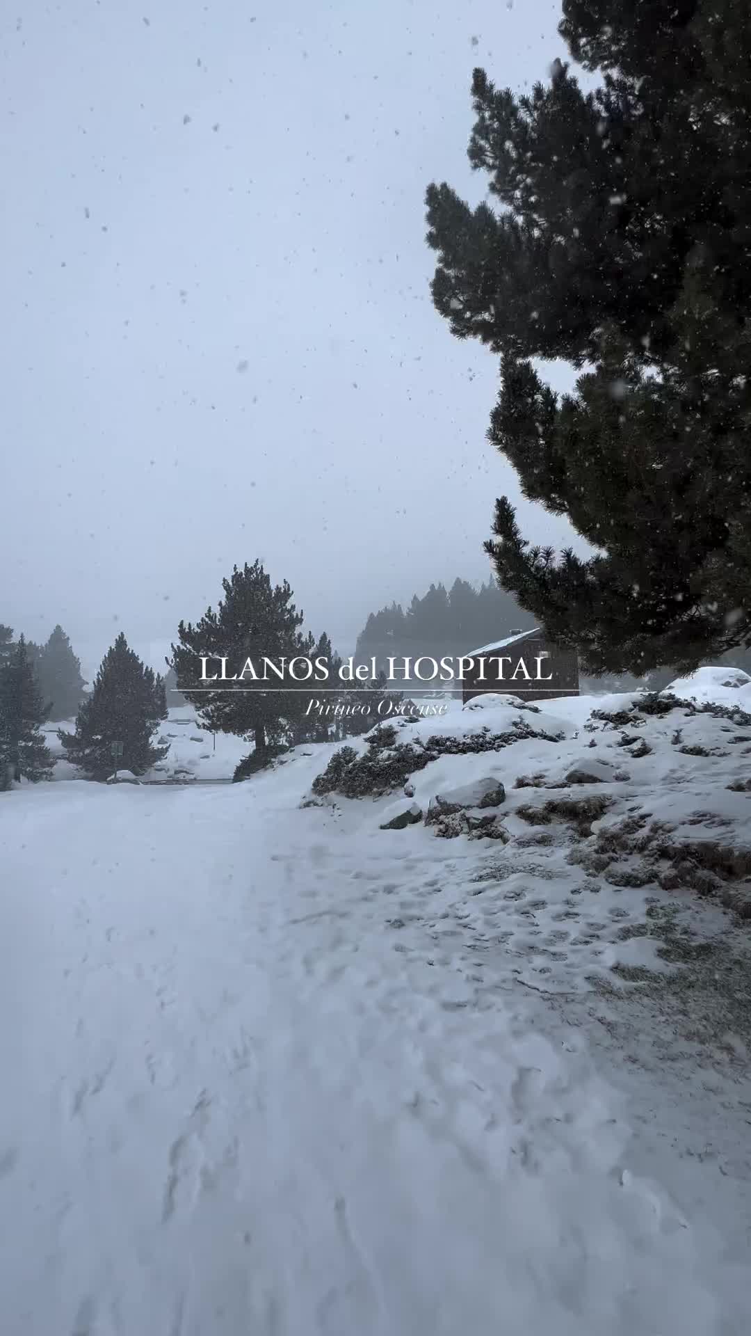 Spectacular Winter Hike in Llanos del Hospital ❄️🏔️