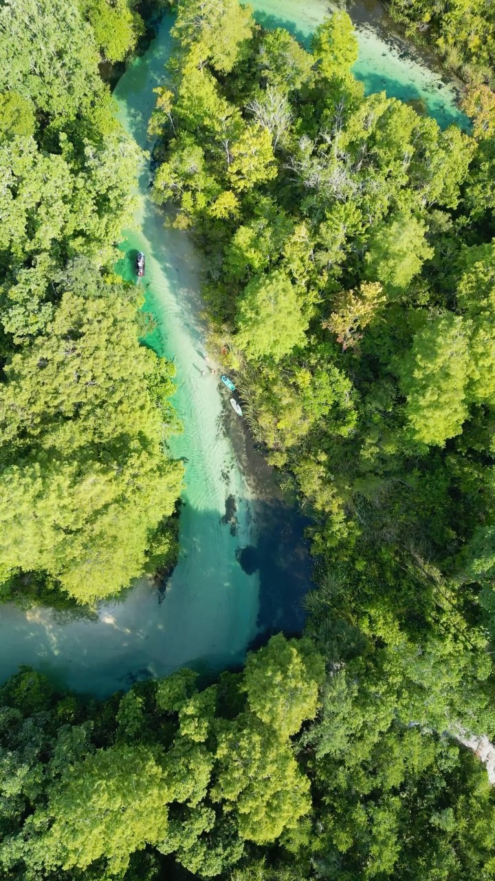 Weeki Wachee Gardens, United States