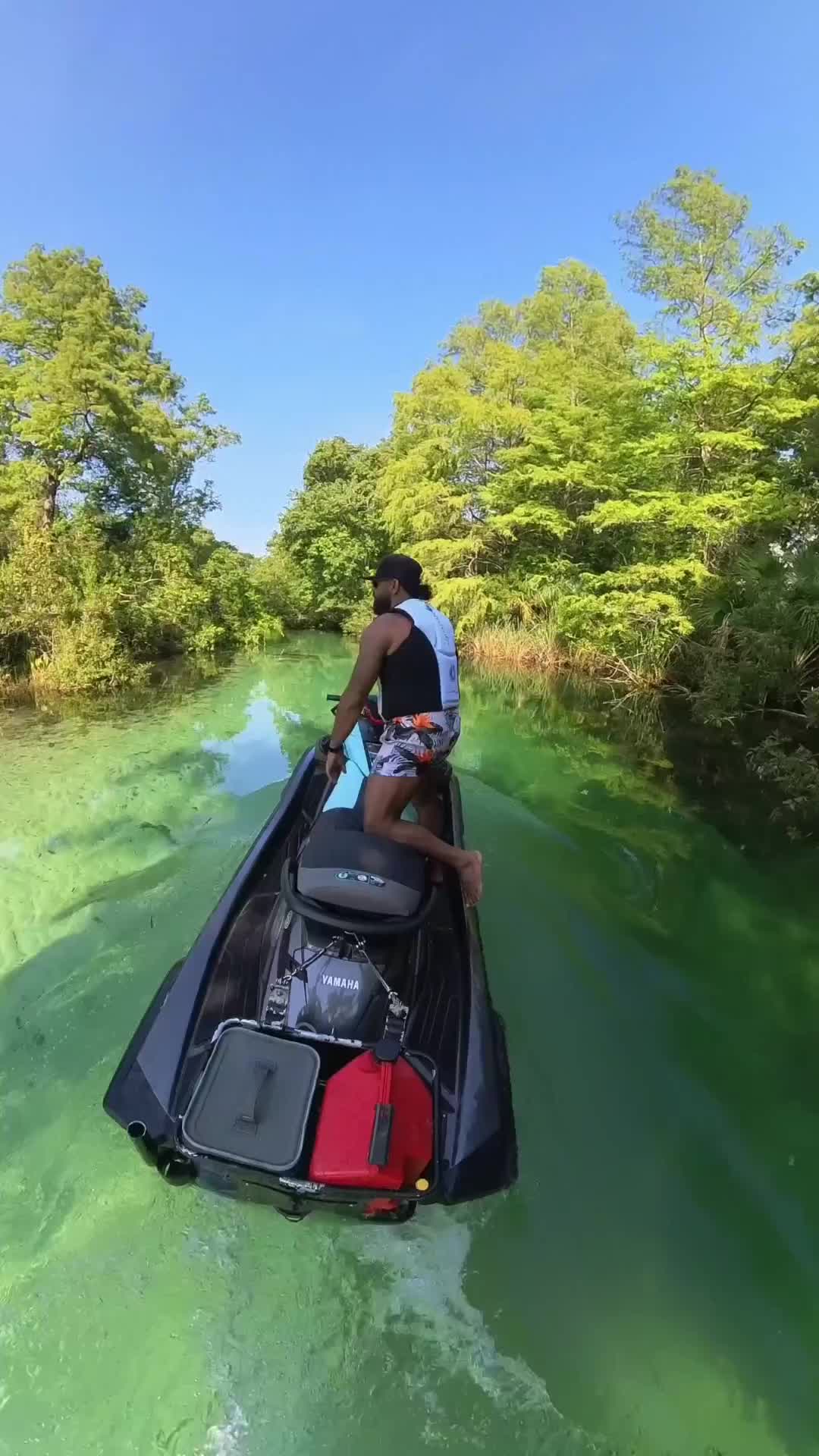 Nature's Best Artistry at Weeki Wachee River 🌿✨