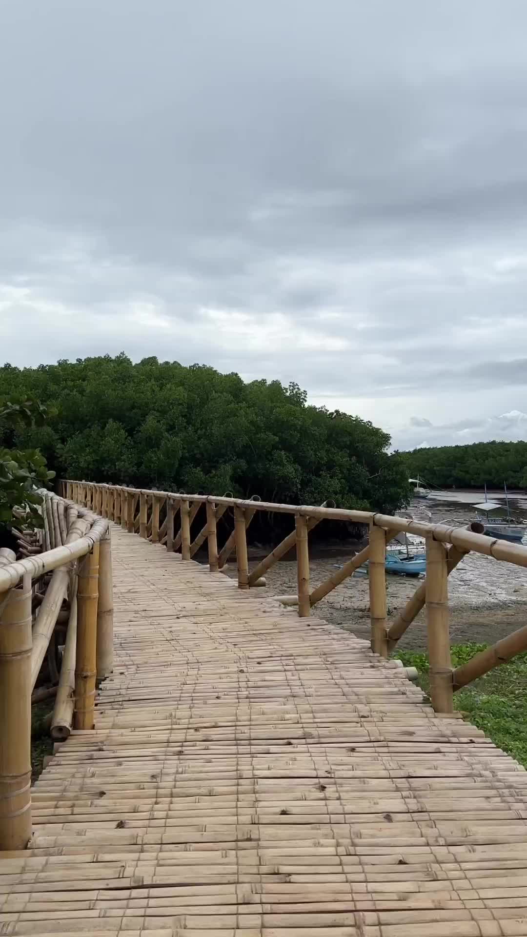 The Mangrove Walk at North Zen Villas, Panglao