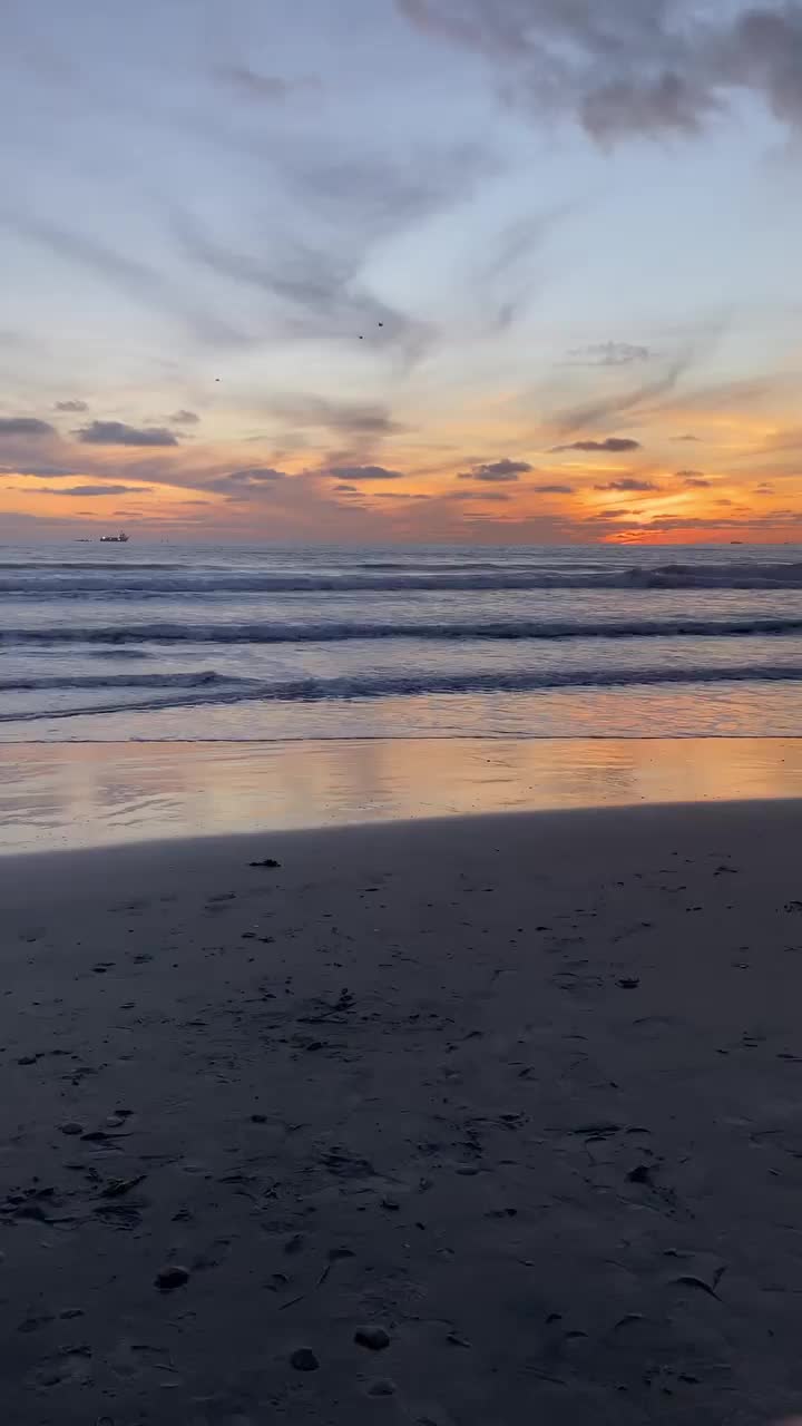 Stunning California Sunsets at Coronado Beach 🌅