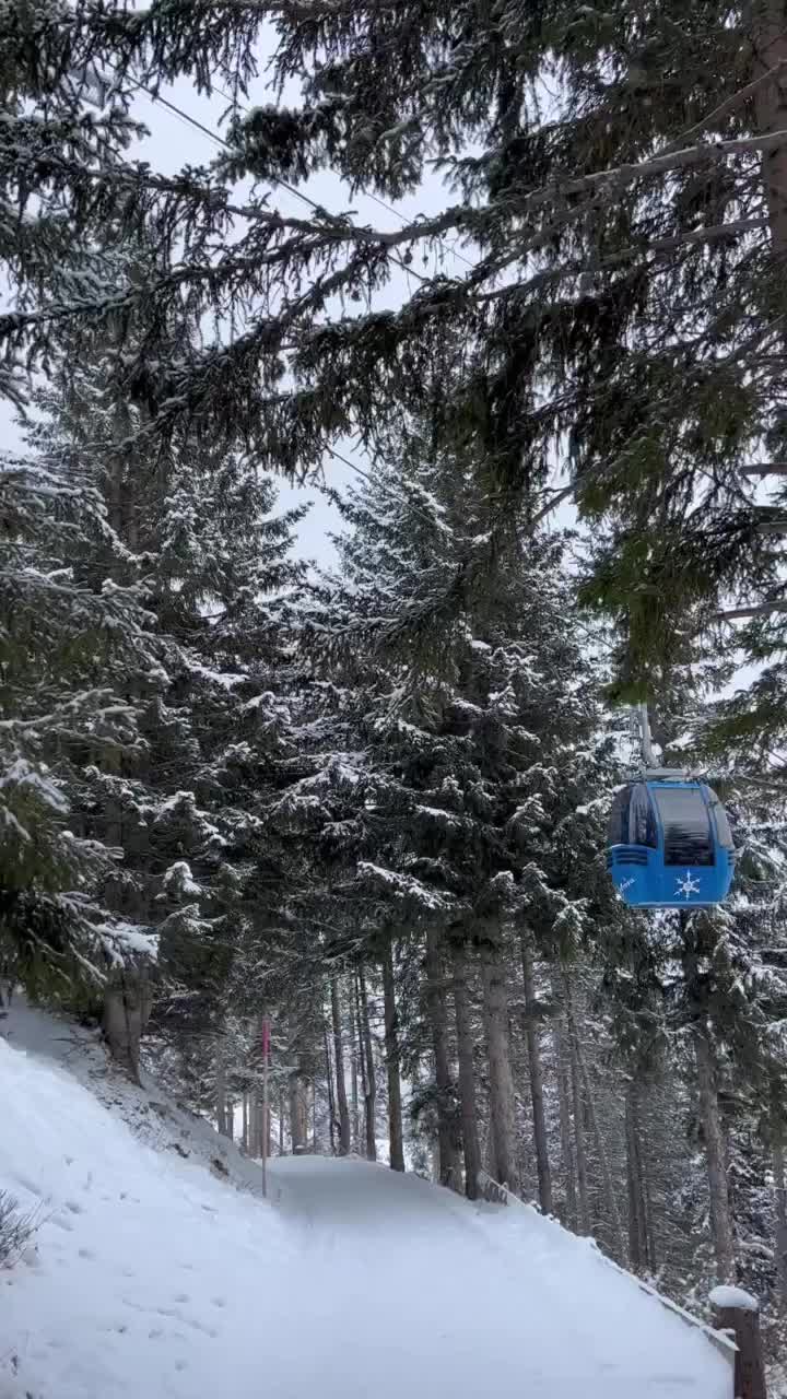 Skiing in Arosa, Switzerland: Winter Wonderland ❄️⛷️