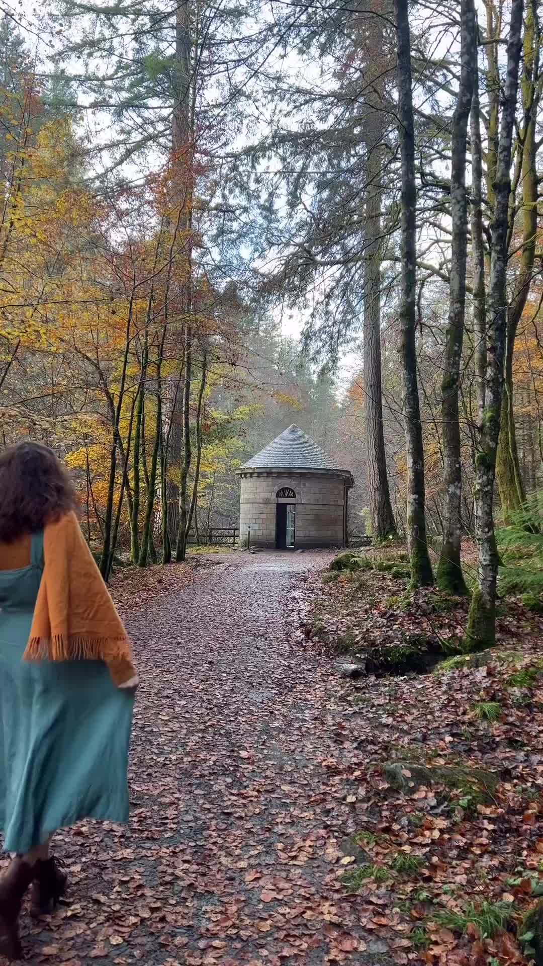 Goodbye Autumn: Exploring The Hermitage Forest, Dunkeld