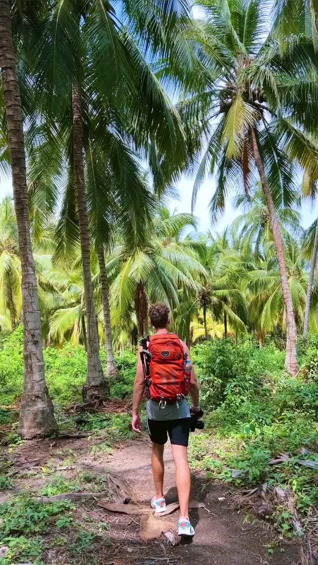 🎥Mini Vlog • Wait till the end to see one of the most beautiful beaches😍

Visiting Tayrona National Park is 100% worth to be on your Bucket list🙌 Follow a trail of 2,5h along crystal blue water coves, tropical jungles and finish off by relaxing at gorgeous white sand beaches🌴

📽This video is edited with our Mobile Video Filter: Rainbow Collection - R6, available through the link in our bio🤗

#tayrona #tayronapark #colombiatravel #minivlog #colombia🇨🇴