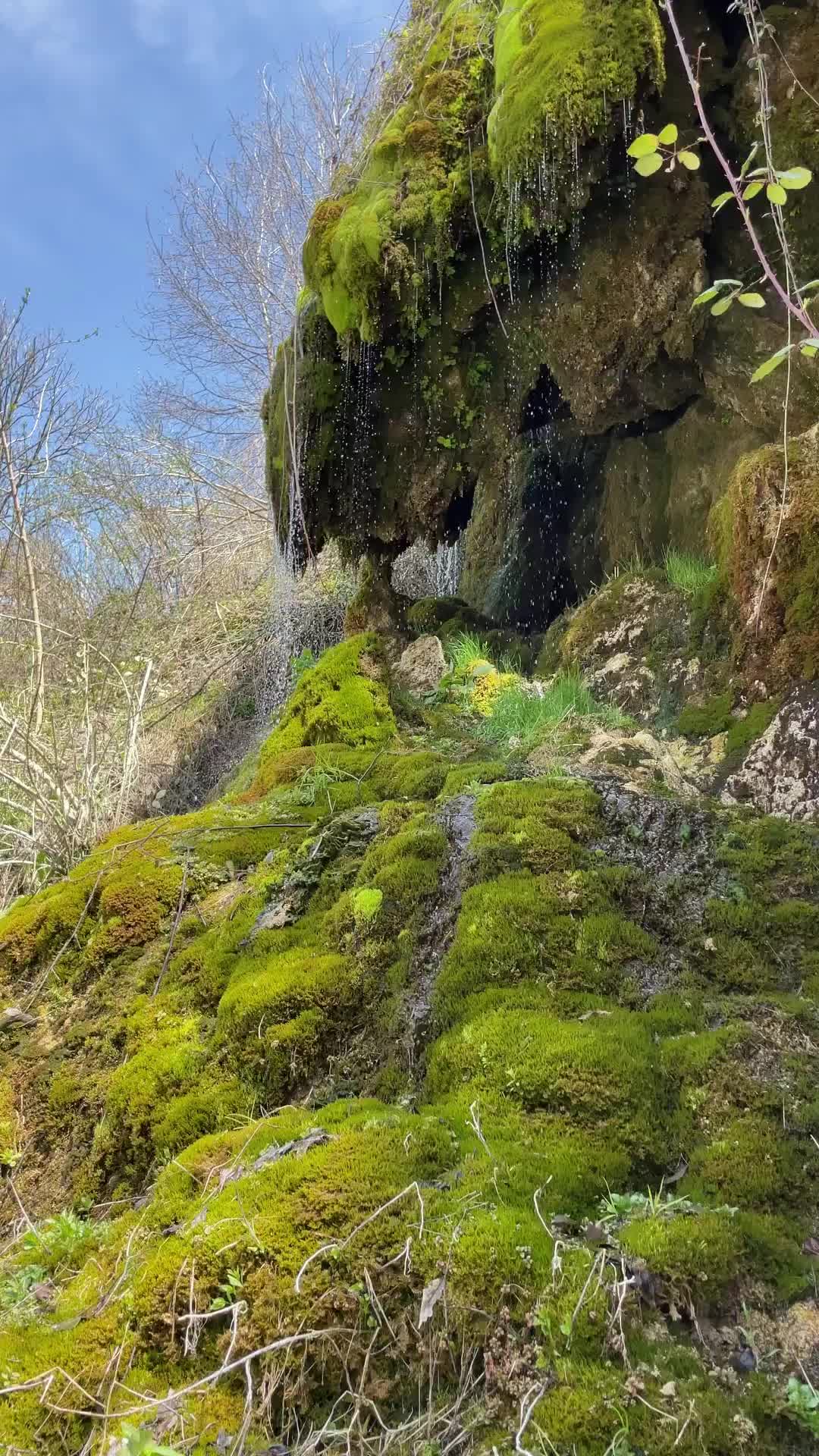 The Sound of Nature at Duf Falls 🌿💦