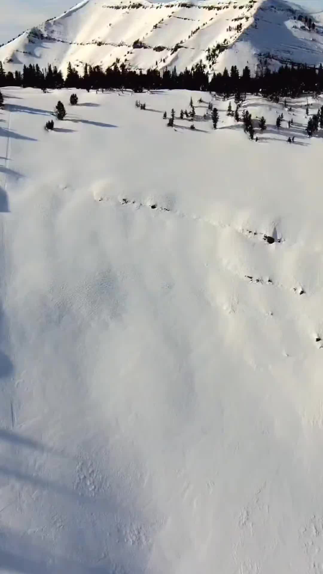 Fresh Backcountry Skiing Lines in Jackson, Wyoming