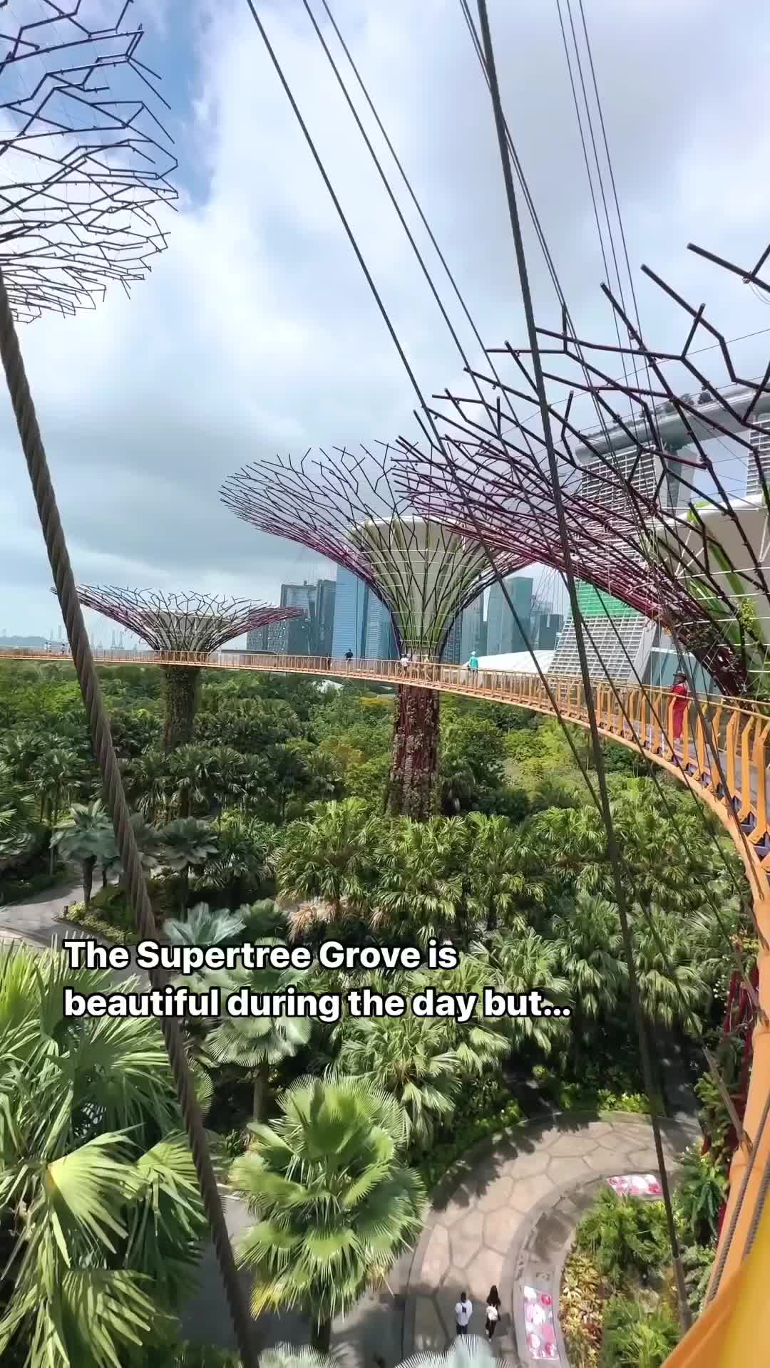 Discover Singapore's Free Supertree Grove Adventure