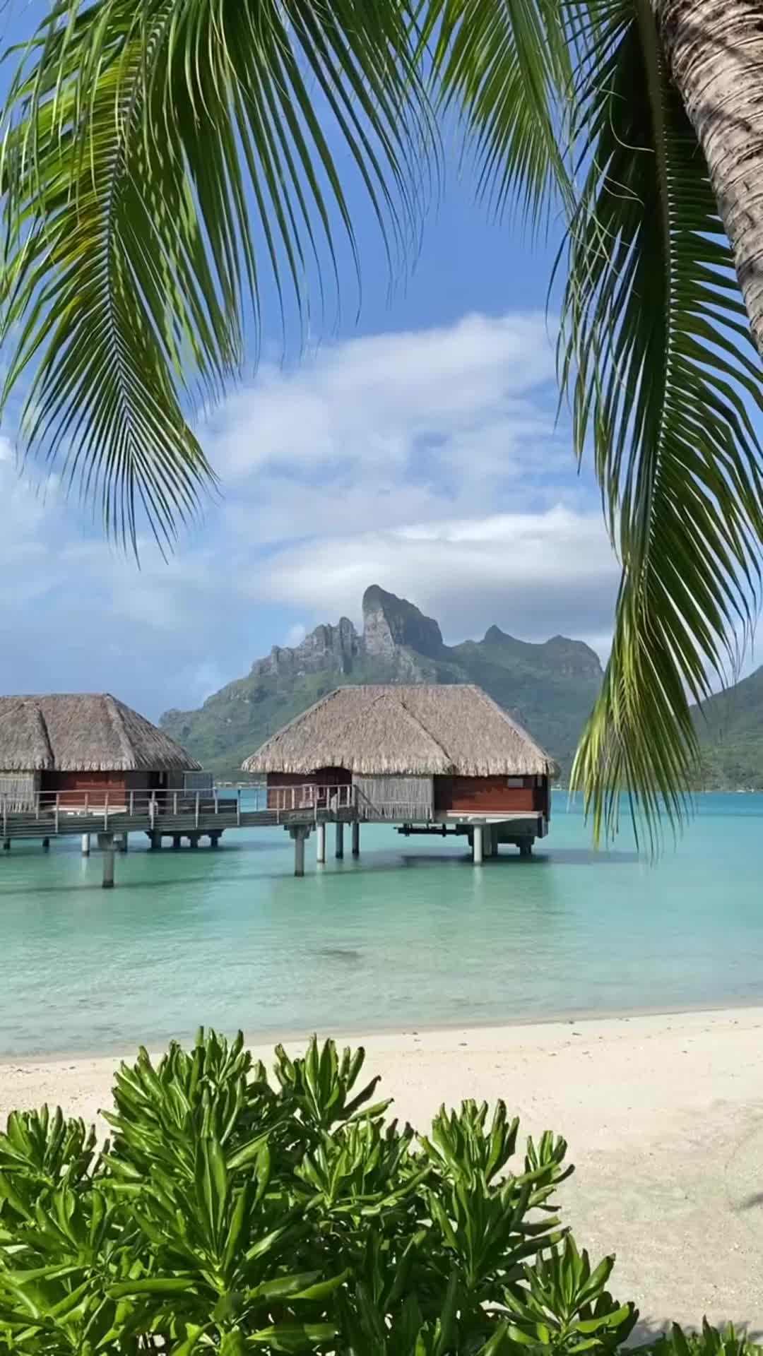 Four Seasons Bora Bora: Top Christmas Vacation Spot