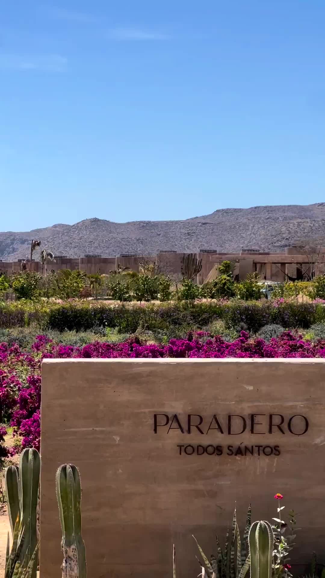 Luxury Retreat in Cabo: Paradero Hotels Review